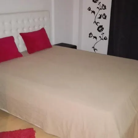 Rocha T 포티마오